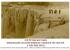 Niagara Falls 1911 Rare Photo